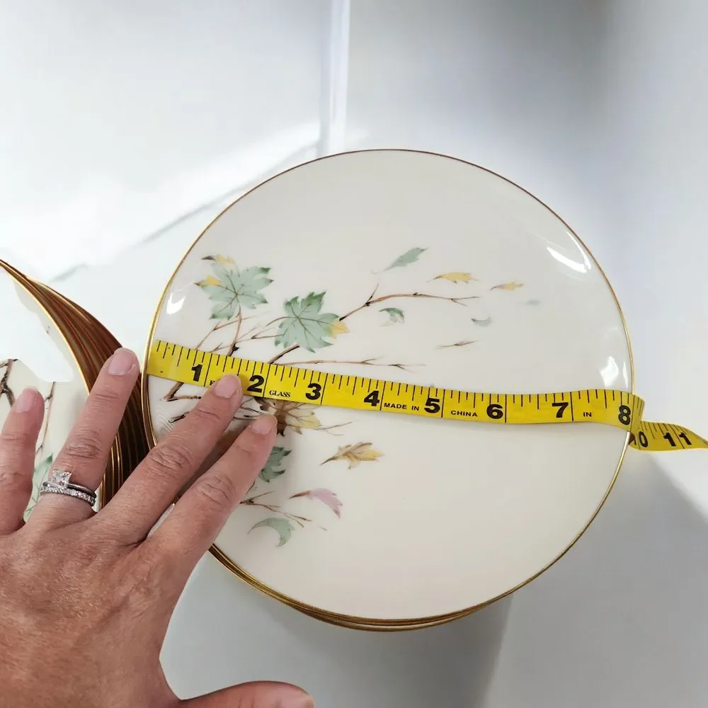 Lenox Westwind X-407 (2) Oval Serving Bowl (12)‎ Dinner Plates (12) Salad Plates
